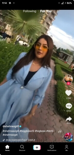 TikTok Modded App
